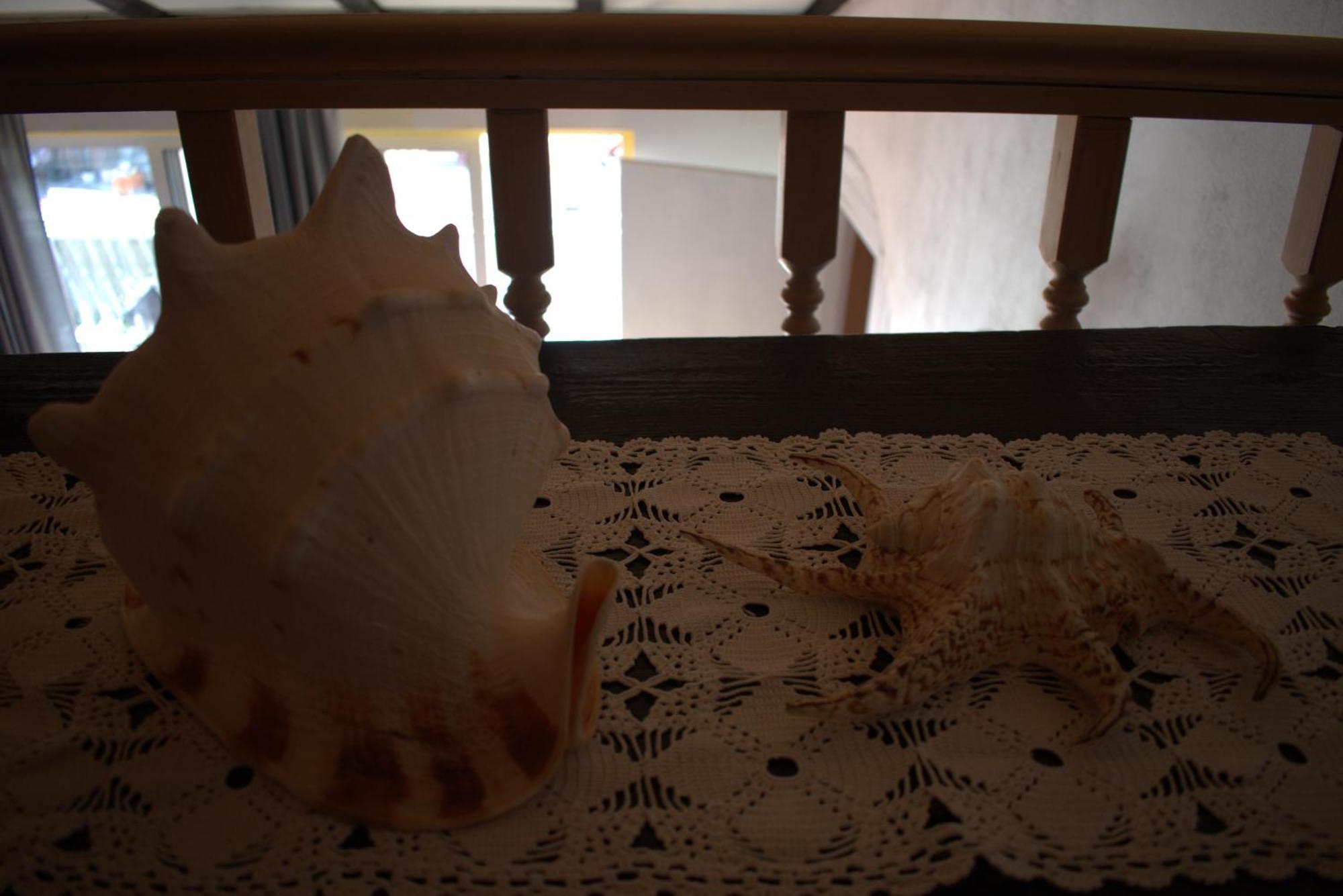 Apartman Marko Tribalj Esterno foto